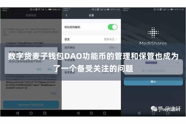数字货麦子钱包DAO功能币的管理和保管也成为了一个备受关注的问题