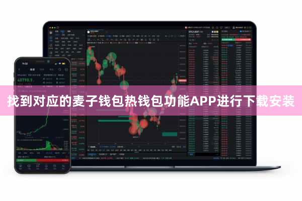 找到对应的麦子钱包热钱包功能APP进行下载安装