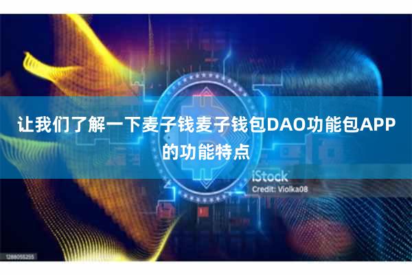 让我们了解一下麦子钱麦子钱包DAO功能包APP的功能特点