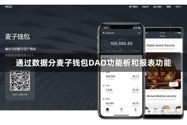 通过数据分麦子钱包DAO功能析和报表功能