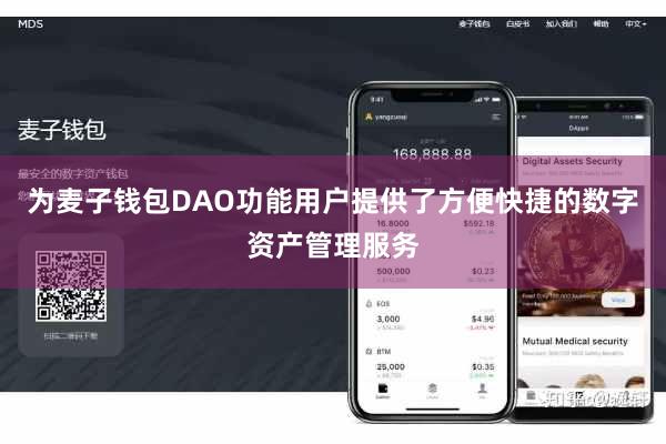 为麦子钱包DAO功能用户提供了方便快捷的数字资产管理服务
