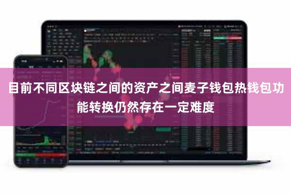 目前不同区块链之间的资产之间麦子钱包热钱包功能转换仍然存在一定难度