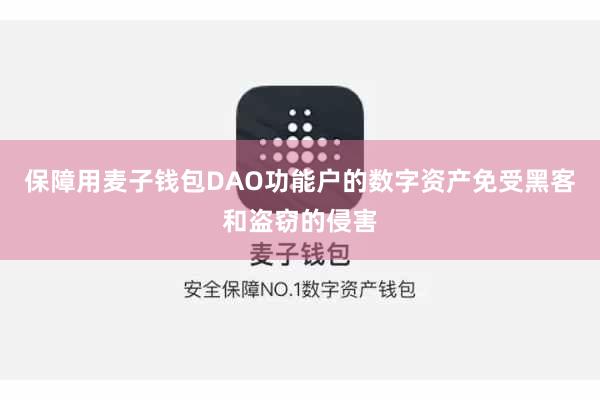 保障用麦子钱包DAO功能户的数字资产免受黑客和盗窃的侵害