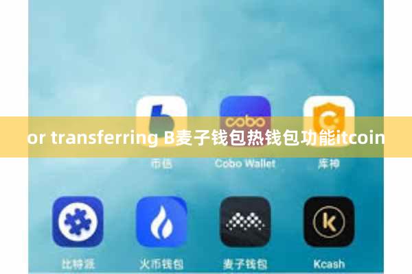 or transferring B麦子钱包热钱包功能itcoin