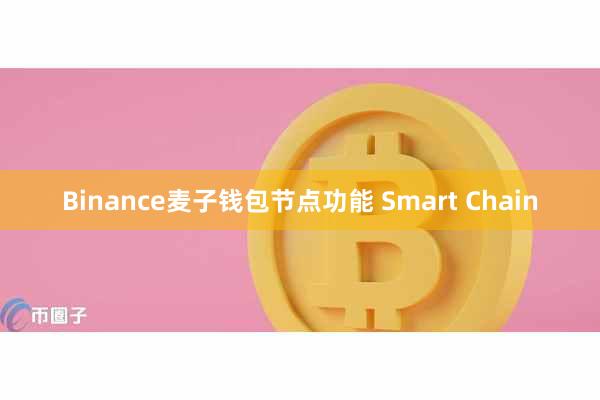 Binance麦子钱包节点功能 Smart Chain