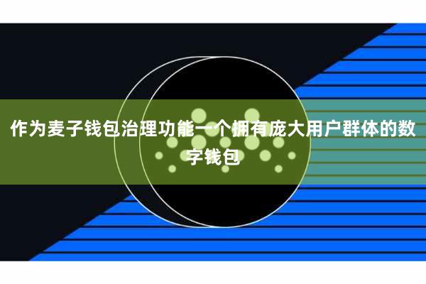 作为麦子钱包治理功能一个拥有庞大用户群体的数字钱包