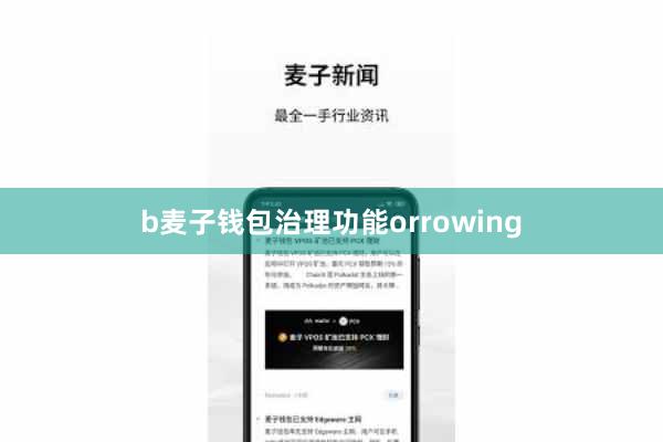 b麦子钱包治理功能orrowing