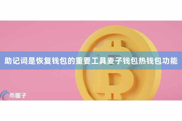 助记词是恢复钱包的重要工具麦子钱包热钱包功能
