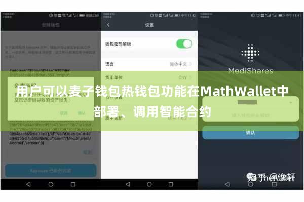 用户可以麦子钱包热钱包功能在MathWallet中部署、调用智能合约