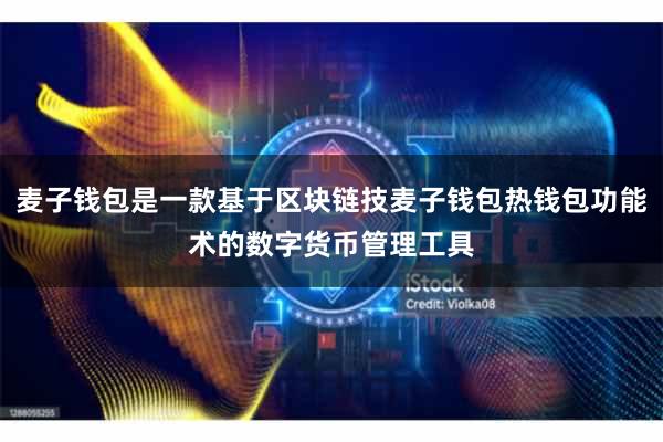 麦子钱包是一款基于区块链技麦子钱包热钱包功能术的数字货币管理工具