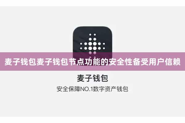 麦子钱包麦子钱包节点功能的安全性备受用户信赖