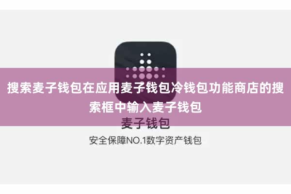 搜索麦子钱包在应用麦子钱包冷钱包功能商店的搜索框中输入麦子钱包