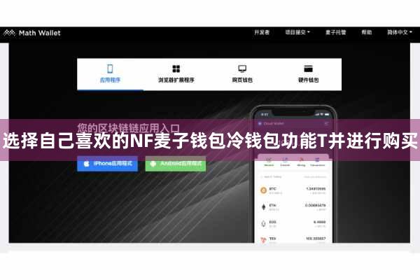 选择自己喜欢的NF麦子钱包冷钱包功能T并进行购买