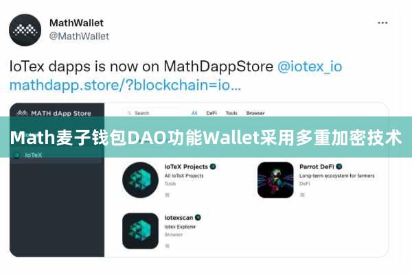 Math麦子钱包DAO功能Wallet采用多重加密技术
