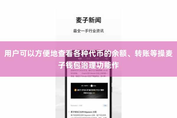 用户可以方便地查看各种代币的余额、转账等操麦子钱包治理功能作